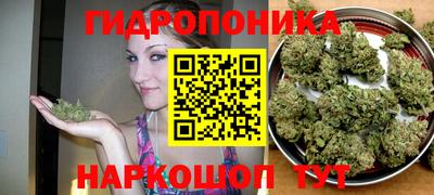 сатива Берёзовский