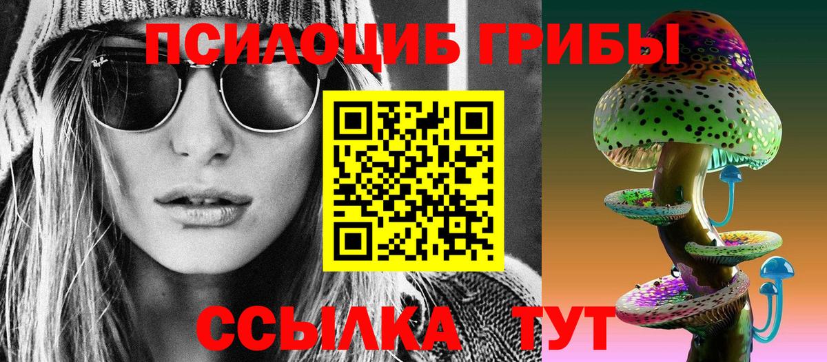 Псилоцибиновые грибы ЛСД Заводоуковск